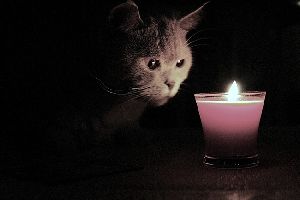 гороскоп совместимости близнецы и козерог,персональный гороскоп на сегодня